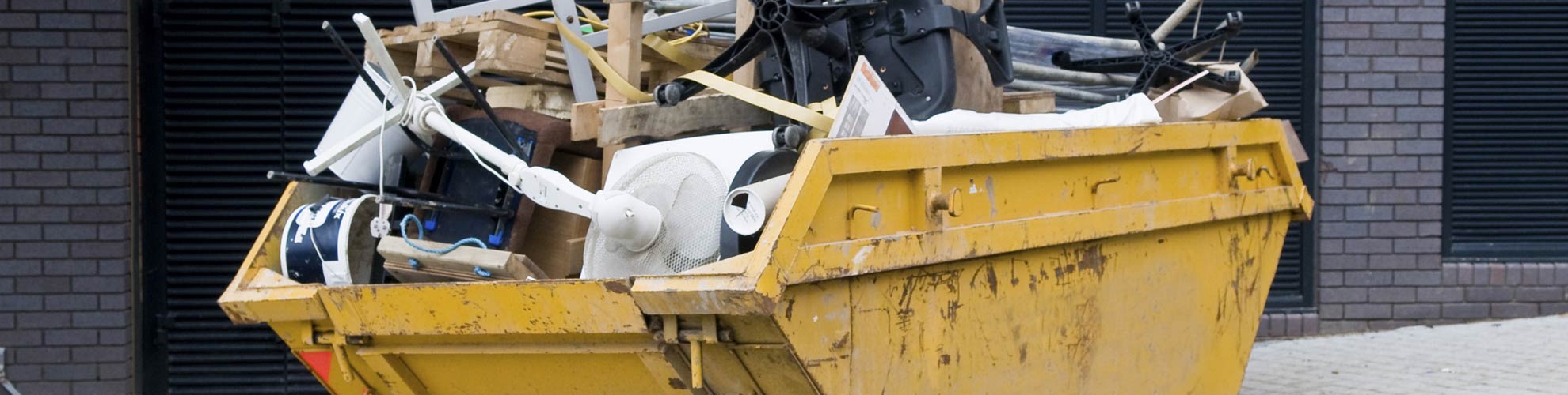 Waste Clean Up