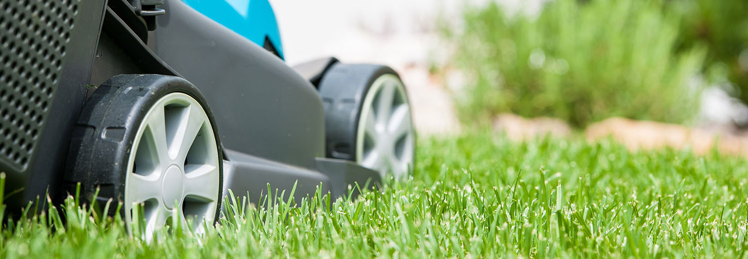 Lawn Mowing Services
